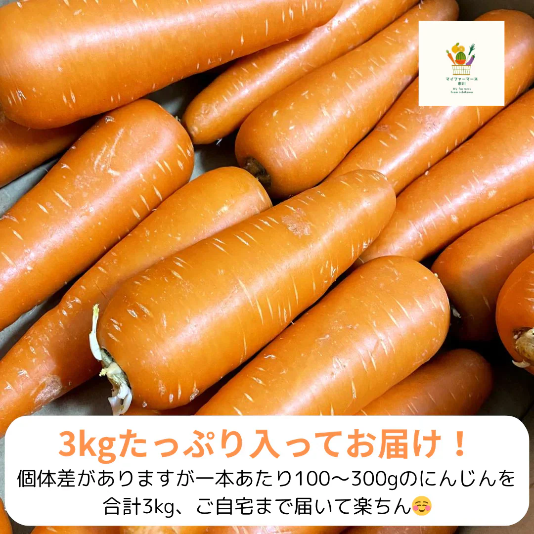 【有名ホテル御用達！】にんじん 3kg(1kg×3p) 農家 野菜 人参 ニンジン フルーツ 青果 市場 果物 フルーツ ギフト 食品 家庭用 贈答 料理