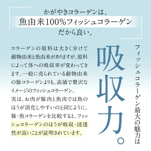 かがやきコラーゲン100g 送料無料 フィッシュコラーゲン 魚由来100％ Wの乳酸菌配合 コラーゲン