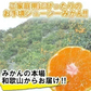 みかん 2キロ 和歌山県 有田産 有田みかん