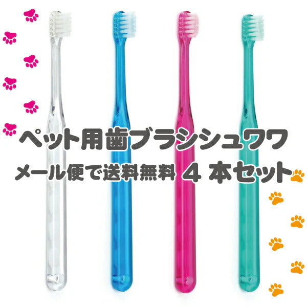 犬用 歯ブラシ / Ci シュワワ / 4本セット（4色アソート）【Ciメディカル 歯ブラシ】【メール便送料無料】
