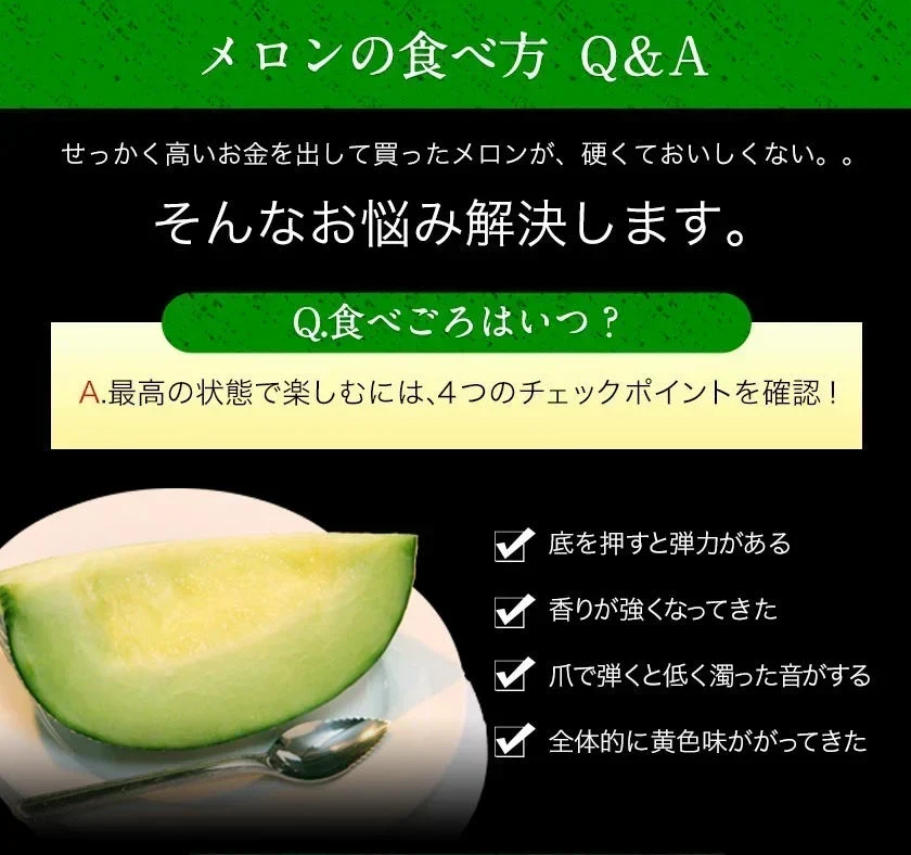 九州産 マスクメロン 2Lサイズ 秀品 1玉 約1.2kg 送料無料 熨斗対応 ギフト プレゼント メロン 贈答 フルーツギフト 贈り物  《1-5営業日以内に出荷予定（土日祝除く）》