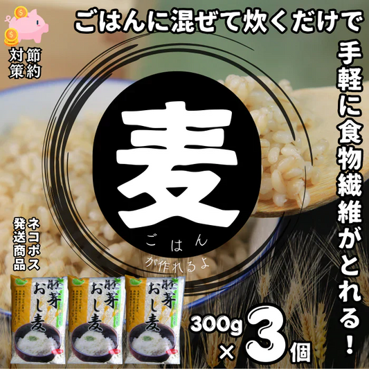 押麦 胚芽押麦 おし麦 300g×3(900g) 食物繊維 国内産 少量 麦とろごはん ネコポス発送送料無料