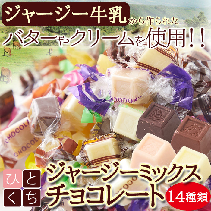 ジャージーミックスひとくちチョコレート200g /ネコポス送料無料