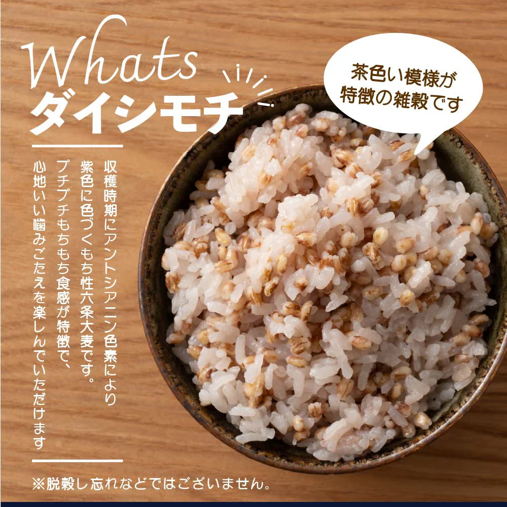 雑穀 雑穀米 国産 もち麦 2.4kg(400g×6袋) ファミリーサイズ 無添加 無着色 送料無料 ダイシモチムギ