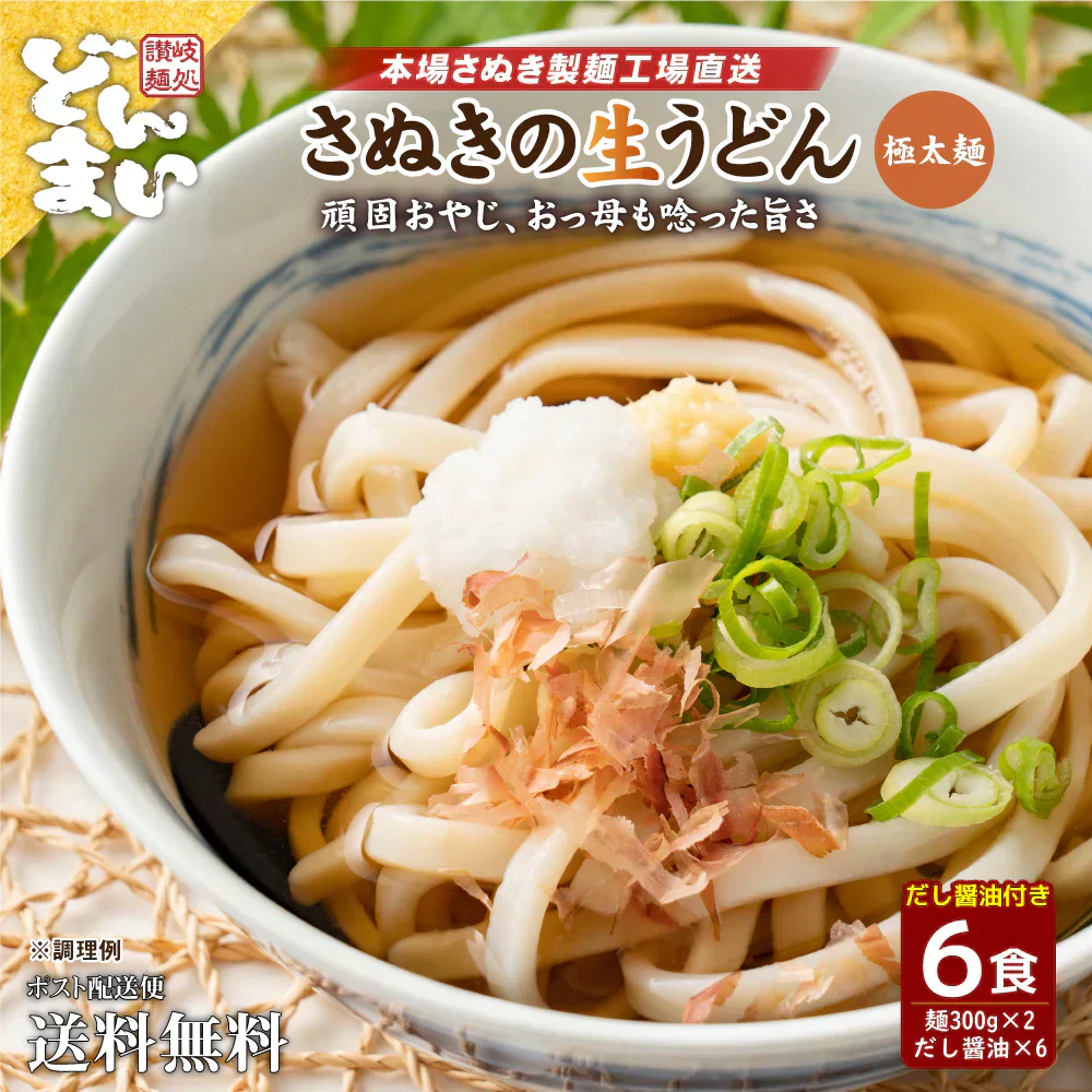 本場生讃岐うどん 専用醤油付セット【極太麺】 6人前 (300g×2袋) 送料無料 讃岐うどん 生うどん しょうゆうどん だし醤油 鎌田醤油 国産小麦 生麺 人気 贈り物 手土産 お土産 お礼