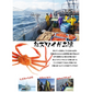 【北海道直送】国産冷凍 ボイル済 紅ズワイガニ姿 約4kg (6~8杯入) A品 2022年新物 第七十八宝樹丸 松田船長 漁師さん応援キャンペーン 4kg×1箱 冷凍品 国産無添加【エコ得】