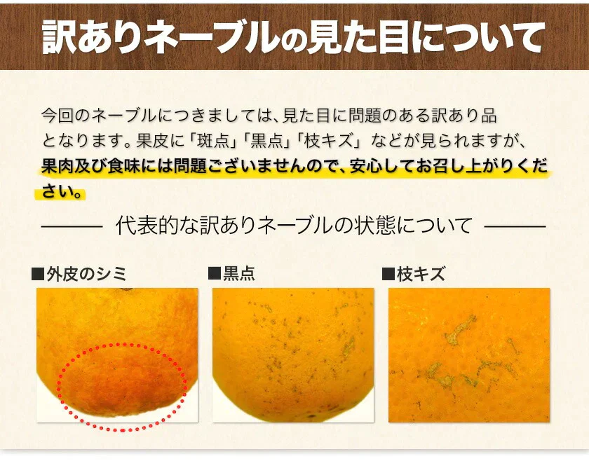 2024 福袋 みかん 福袋 送料無料 高級フルーツ 黒毛和牛 が当たるかもデコポン 干し芋 柑橘 果物 フルーツ 予約 3月上旬-3月末頃より発送予定【福袋】