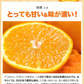 本場熊本産 訳あり デコみかん 送料無料 1.5kg 不知火 みかん ミカン 熊本県産 訳あり デコポン と同品種 熊本 柑橘  7-14営業日以内に発送予定(土日祝除く)