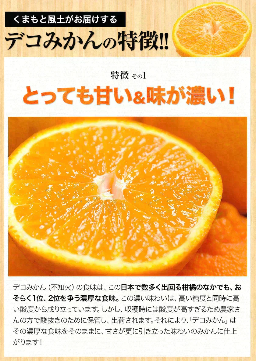 本場熊本産 訳あり デコみかん 送料無料 1.5kg 不知火 みかん ミカン 熊本県産 訳あり デコポン と同品種 熊本 柑橘  7-14営業日以内に発送予定(土日祝除く)