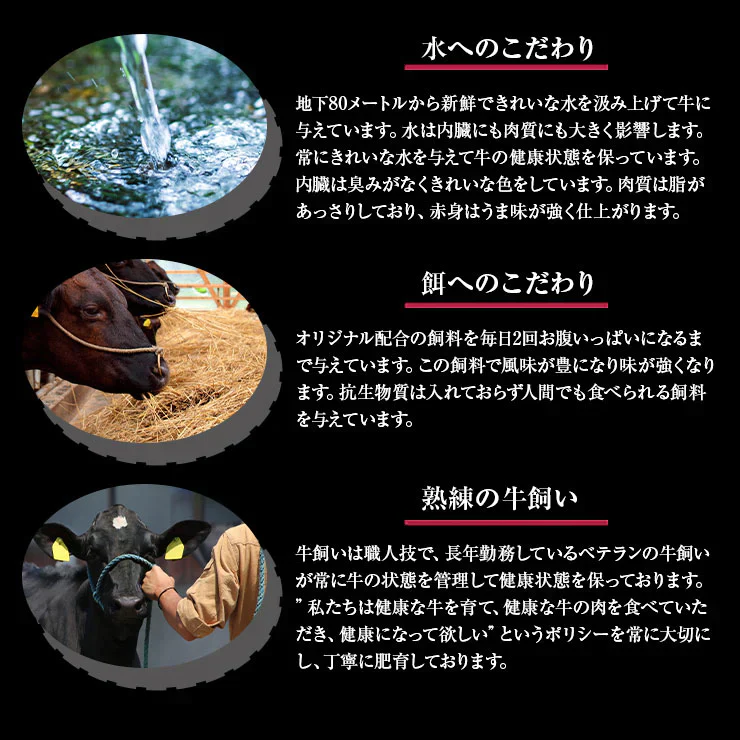 お歳暮 御歳暮 プレゼント ギフト 贈り物 しゃぶしゃぶ用 鍋 ローススライス 500ｇ 宮崎県産 黒毛和牛 EMO牛（有田牛/エモー牛） 冷凍食品 おかず お取り寄せグルメ  国産 九州産 ホルモン剤不使用 抗生物質不使用 遺伝子組換え飼料不使用 ホルモンフリー高級 牛肉