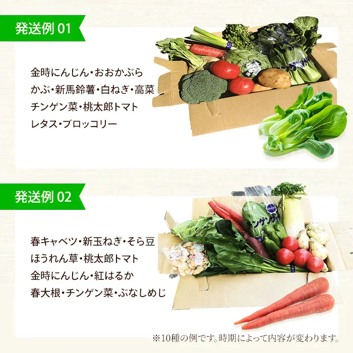 送料無料 野菜セット 10品セット おまかせ野菜セット 野菜詰め合わせ お試し野菜セット 西日本野菜セット フードロス 岡山 複袋 福袋 送料込 も ったいない 人気 安い 野菜宅配 おすすめ プレゼント ギフト 実用的 父の日 ギフト 福袋 お正月