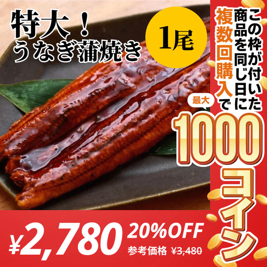 【特大！】うなぎ蒲焼き １尾【コインバック対象】