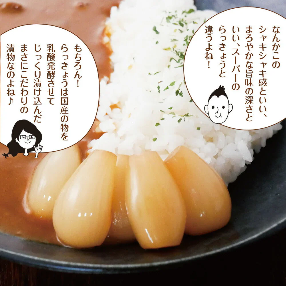 日本橋いなば園 国産シャキシャキらっきょうたまり漬け 140g ネコポス メール便送料無料