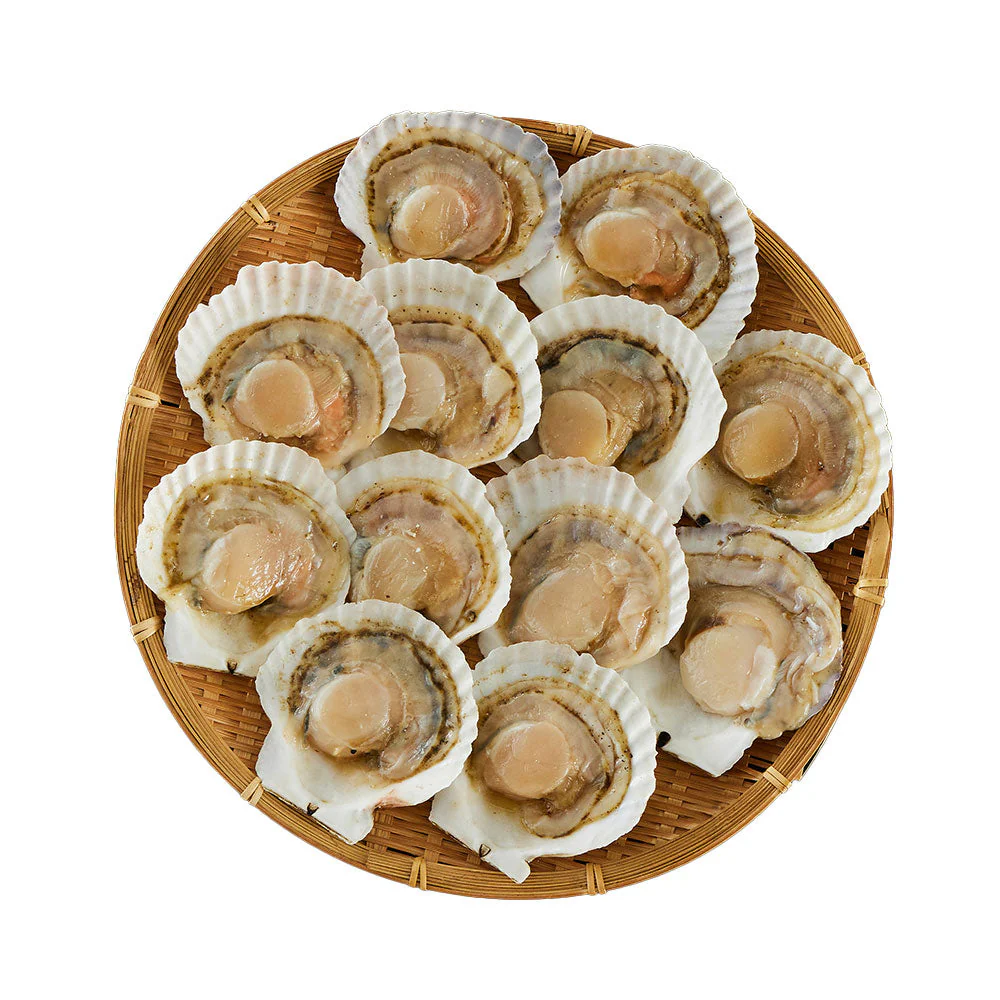 北海道産 帆立片貝 12枚(75g×12) 貝類 ホタテ【送料込み】【二重包装不可】【お届け不可地域：離島】