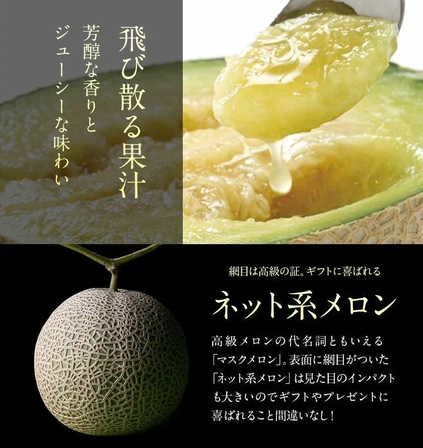 九州産 マスクメロン 2Lサイズ 秀品 1玉 約1.2kg 送料無料 熨斗対応 ギフト プレゼント メロン 贈答 フルーツギフト 贈り物  《1-5営業日以内に出荷予定（土日祝除く）》