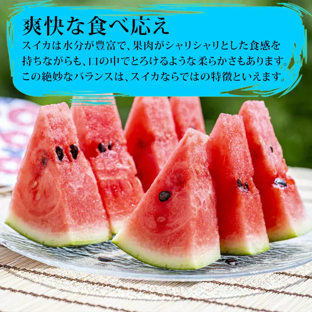 すいか 国産 秀品 MA規格以上 ４kg-５kg 家庭用 大玉サイズ スイカ 贈答 ギフト すいか 西瓜 スイカ かもと 糖度11度以上選果 光センサーによる空洞検査済み 食品 フルーツ 果物 スイカ ギフト 贈答 進物 御供え お供え