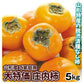 庄内柿 5kg 山形産 ご家庭用
