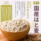 雑穀 雑穀米 国産 麦５種ブレンド 400g お試しサイズ [丸麦/押麦/はだか麦/もち麦/はと麦] 無添加 無着色 送料無料 ポスト投函