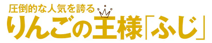 りんご サンふじ 青森産 3kg【2025年1月中旬より発送】