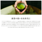 熟練茶師が選んだ高級粉末緑茶20g 1杯分が手軽に計量できる専用容器付き(当商品はミルではございません))