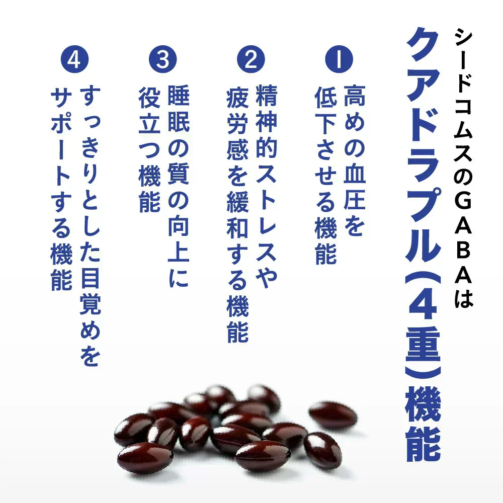 血圧 睡眠 ストレス GABA《約1ヶ月分》 機能性表示食品 GABA1粒100mg配合 テアニン トリプトファン グリシン