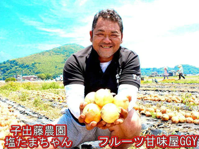 塩たまちゃん　訳あり　箱込10ｋｇ