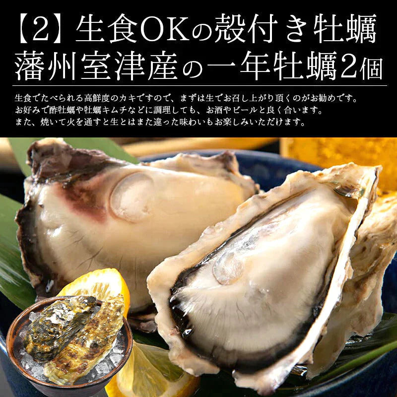 福袋 8種入り 豪華 かに 入り福袋！ カニ 牡蠣 ホタテ 鯖  銀鱈 西京漬け 辛子明太子 ホッケ 鯖開き  贈り物 グルメ 食品 母の日 プレゼント ギフト  母の日思いの 健康 実用的 父の日 子供 孫