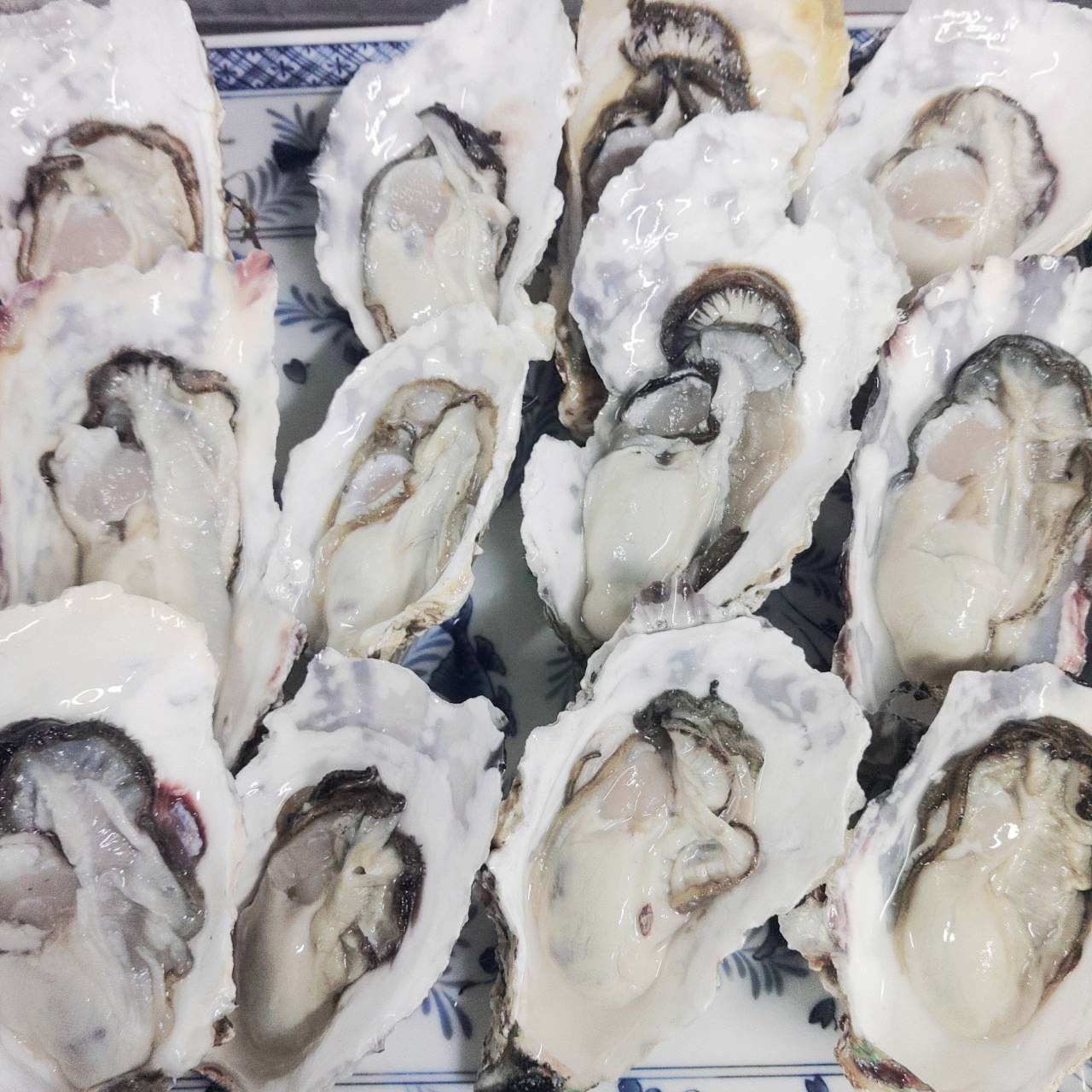 牡蠣 殻付き 冷凍 牡蠣 ＳＳサイズ４ｋｇ（約80粒）４キロ 送料無料！ 宮城県産 殻付き牡蠣 殻付き 殻付 カキ 加熱用 松島牡蠣屋 牡蛎 ＢＢＱ バーベキュー食材 海産物 牡蠣通販 「冷凍　牡蠣 ＳＳ４ｋｇ」