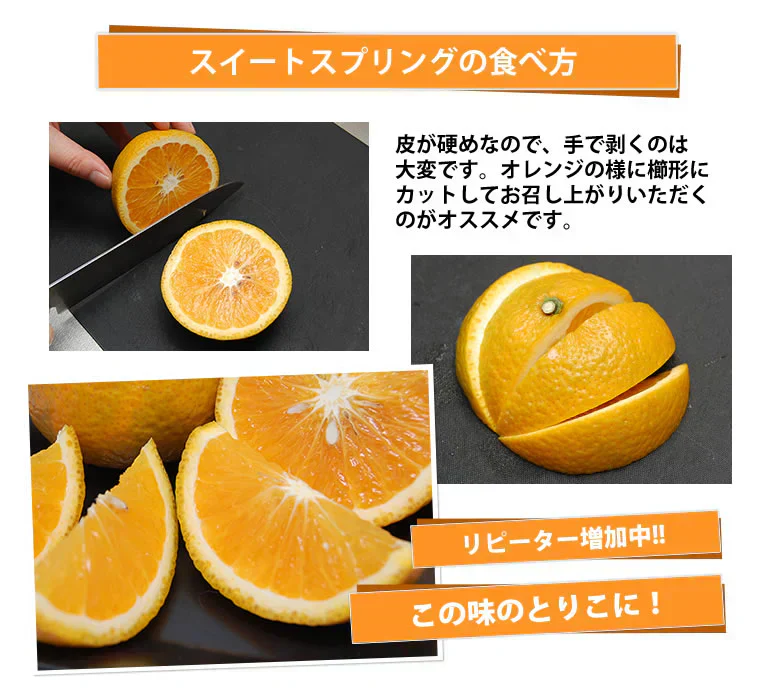 スイートスプリング 訳あり 10kg 箱込（内容量9kg＋補償分500g) みかん 送料無料 訳あり 熊本県産 爽やかな甘さと香り 蜜柑 温州みかん 八朔 お取り寄せ フルーツ