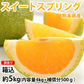スイートスプリング 訳あり 5kg 箱込（内容量4kg＋補償分500g) みかん 送料無料 訳あり 熊本県産 爽やかな甘さと香り 蜜柑 温州みかん 八朔 お取り寄せ フルーツ