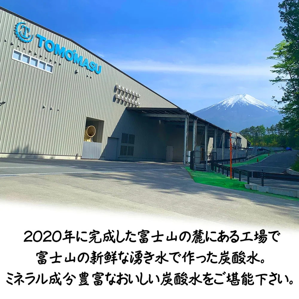 【1本60.3円】富士山のバナジウム＆シリカ 強炭酸水 VanaSilica（バナシリカ） 500ml  48本(24本×2箱)プレーン【送料無料】【ゲリラセール】