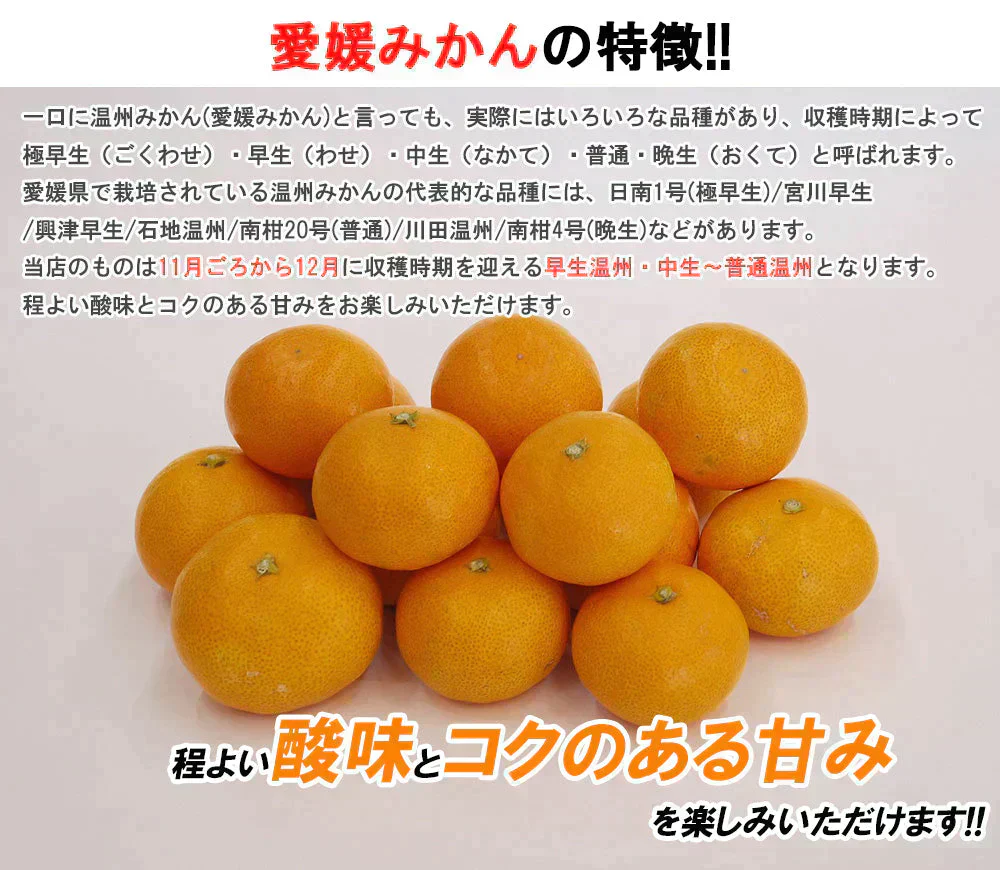 みかん 5kg 送料無料 愛媛みかん 温州みかん ミカン 蜜柑 安い 甘い 箱買い 産地直送 愛媛県産 YDF-000