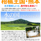 みかん　熊本産　おいしいみかん　1.5kg　サイズおまかせ　ご家庭用（発送予定：11月中旬より）