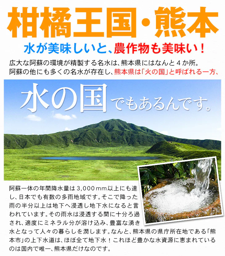 みかん　熊本産　おいしいみかん　1.5kg　サイズおまかせ　ご家庭用（発送予定：11月中旬より）