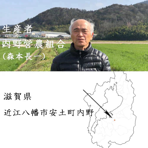 新米 食べ比べ 白米10kg(5kg×2) 滋賀県近江八幡産 コシヒカリ キヌヒカリ 令和6年産 内野営農組合 環境こだわり農産物