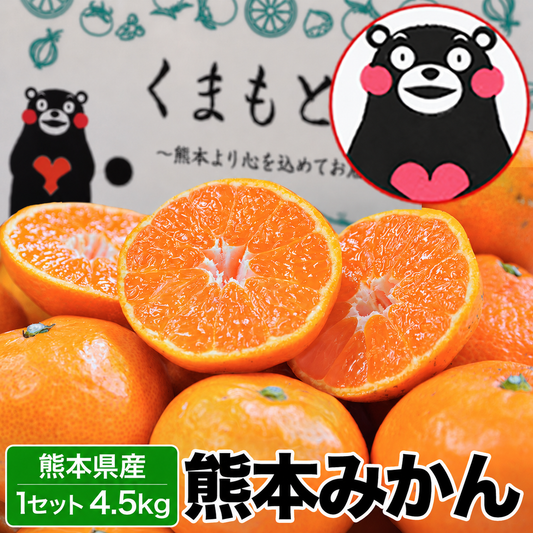 【販売解禁】熊本 みかん 訳あり 4.5kg 熊本県産 熊本 小玉 不選別 みかん 家庭用 送料無料 早生 ミカン フルーツ お取り寄せ 柑橘 フルーツ 果物  《11月上旬ー11月下旬に出荷予定》