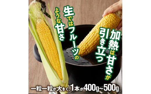 農家直送！メロンより甘い！博多あまっコーン4.5㎏【上部カット品】（約22本）（冷凍）