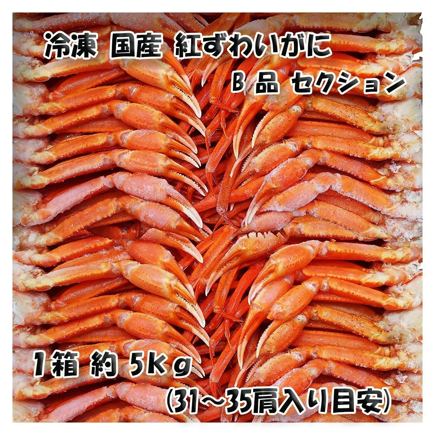 【北海道直送】国産冷凍 ボイル済 紅ズワイガニ セクション 約5kg箱 冷凍品 B品 Mサイズ (31~35肩入り目安)「漁師さん応援キャンペーン」 (5kg×1箱)【エコ得】