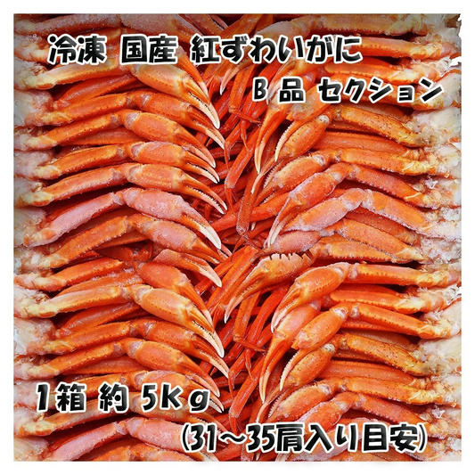 【北海道直送】国産冷凍 ボイル済 紅ズワイガニ セクション 約5kg箱 冷凍品 B品 Mサイズ (31~35肩入り目安)「漁師さん応援キャンペーン」 (5kg×1箱)【エコ得】
