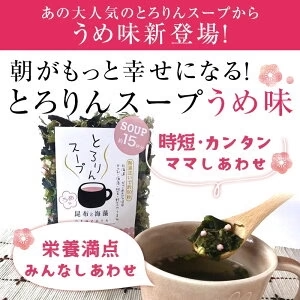 [大袋]とろりんスープ昆布と海藻 うめ味 [100杯分]　200g×2袋 即席スープの素 お徳用