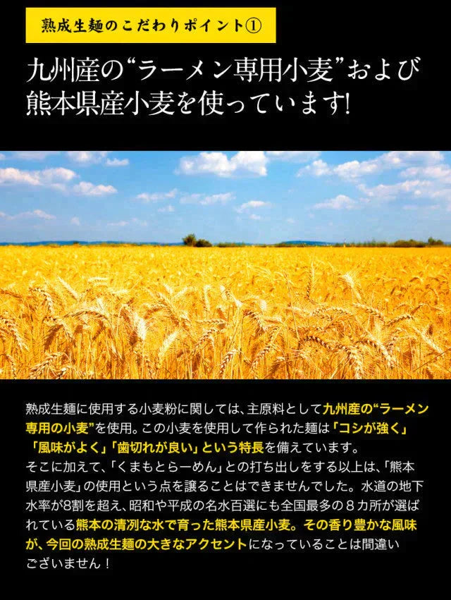熊本ラーメン(ramen) 6食セット 生麺 液体スープ 中太麺 豚骨ラーメン《7-14営業日以内に出荷予定(土日祝除く)》【特産品・ご当地特集】