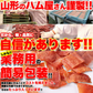 国産鶏むね肉のジュワ旨チキンジャーキー【業務用】115g ハム屋さんのこだわりが詰まった!! メール便