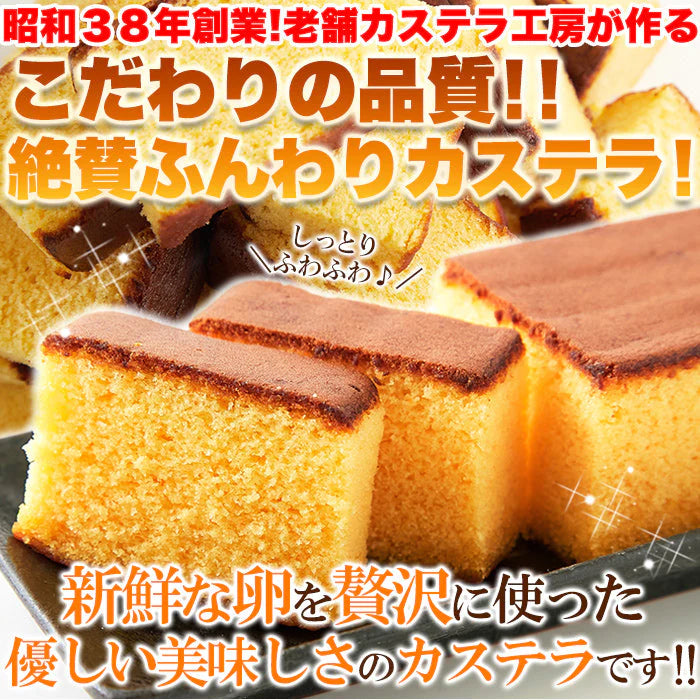 【超得ハイパーSALE】本場長崎のプレーンカステラ 大容量 900g（300g×3本セット）