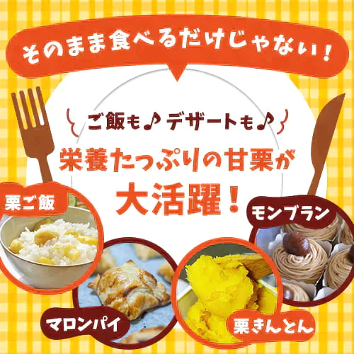 720g 有機栽培 甘栗ちゃん (240g×3袋) 天津甘栗 甘栗 栗 和菓子 送料無料