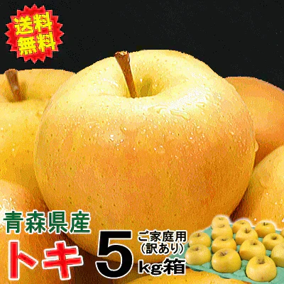 【即日発送】青森県産 りんご トキ 5kg箱 家庭用/訳あり ★トキ 家訳 5kg箱