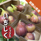 和歌山県産 いちじく 約1.2kg （約300g入り × ４パック）ご家庭用 イチジク 無花果 紀の川市