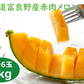 【数量限定】北海道富良野産 赤肉メロン 8kg (4～6玉入り)【訳あり・送料無料】