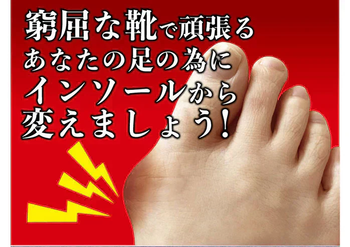 ガイハンインソール ・LLサイズ【外反母趾専用　インソール　ユビフリー　根本から補整　長時間　旅行　理想のアーチ　シューフィッター　足の専門家】中敷き 腰痛 骨盤 姿勢 衝撃吸収 腰らくインソール 骨格補正 衝撃吸収 アーチ アーチサポート 高反発 ハニカムゲル 姿勢矯正 靴脱げ防止 グッズ おすすめ 通販 人気