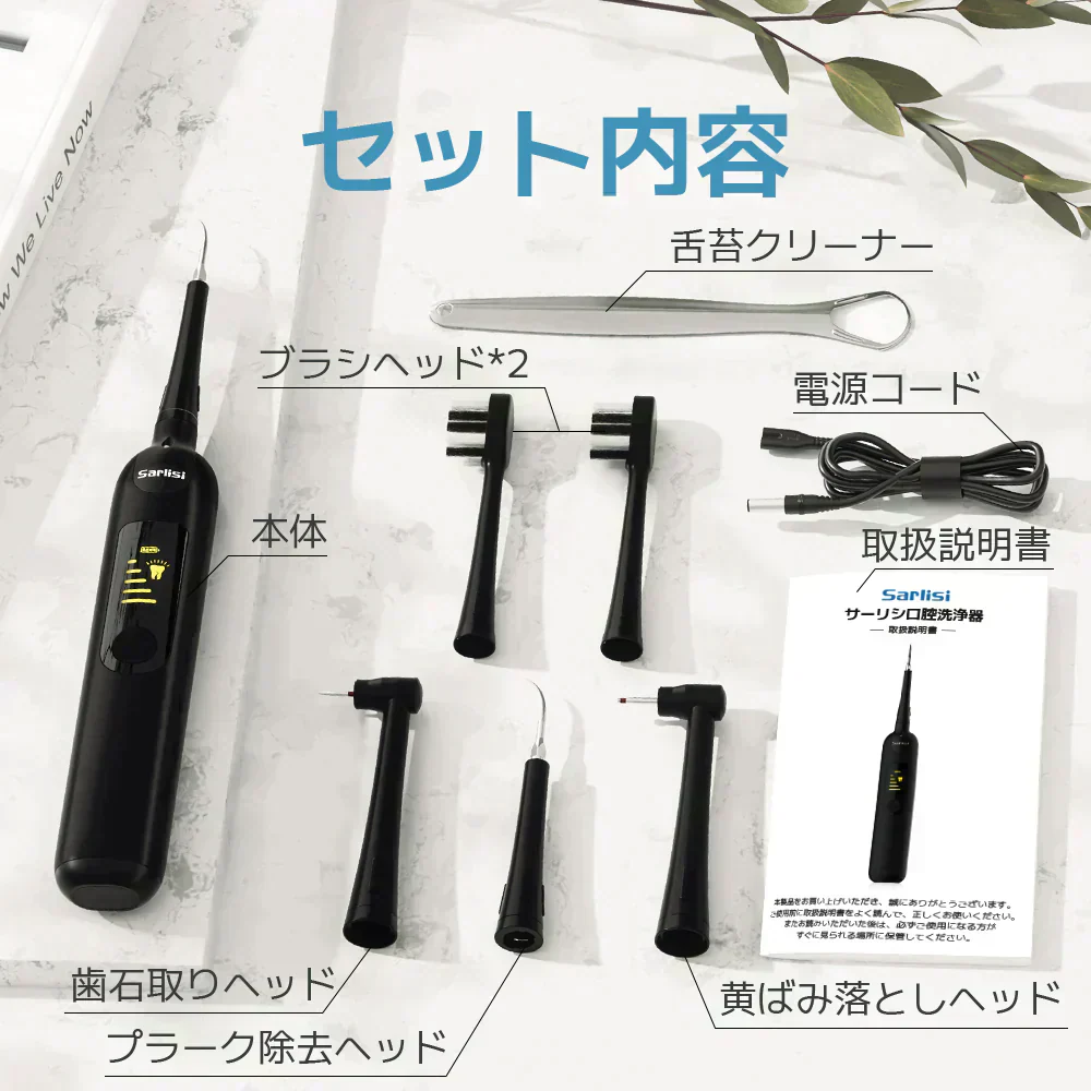 Sarlisi 歯石取り デンタルツール 口腔洗浄 歯間のクリーニング 虫歯予防 1台多役 小型 オーラルケア 家庭用