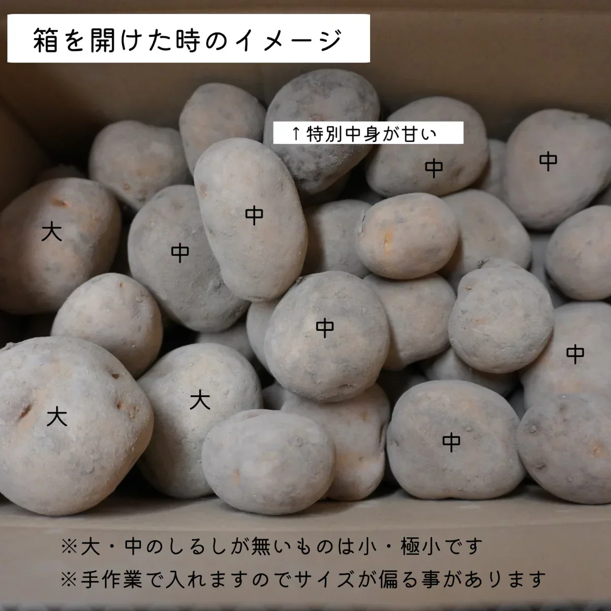 《発送は12月》 熟成インカのめざめ 2Kg 栗のようなジャガイモ